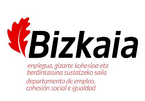 DIPUTACIÓN FORAL DE BIZKAIA -DEPARTAMENTO DE EMPLEO, COHESIÓN SOCIAL E IGUALDAD
